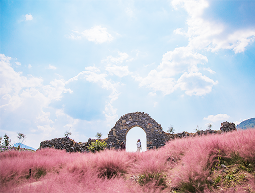 星空石门  紫藤廊道