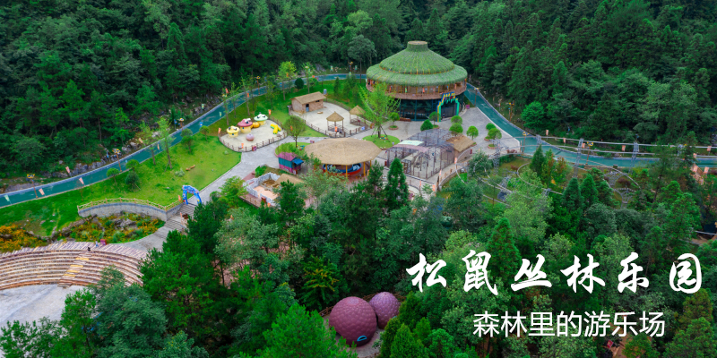 松鼠丛林乐园