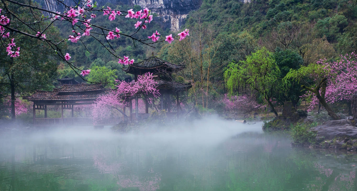 春有约 花不负|酉阳桃花源邀您共赴花朝盛宴